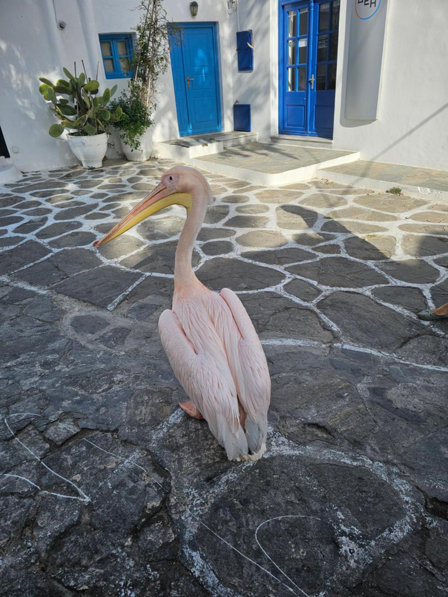 Solo Apartamento Mykonos Town